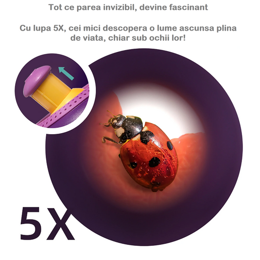Kit de Explorare si Observator Sience KID, Insecte, Pesti, Plante, Incurajeaza Explorarea Naturii, Jucarie STEAM, Promoveaza Invatarea Practica, Cu Telescop 5x, Kit Stintific pentru interior si exteriror, Purple